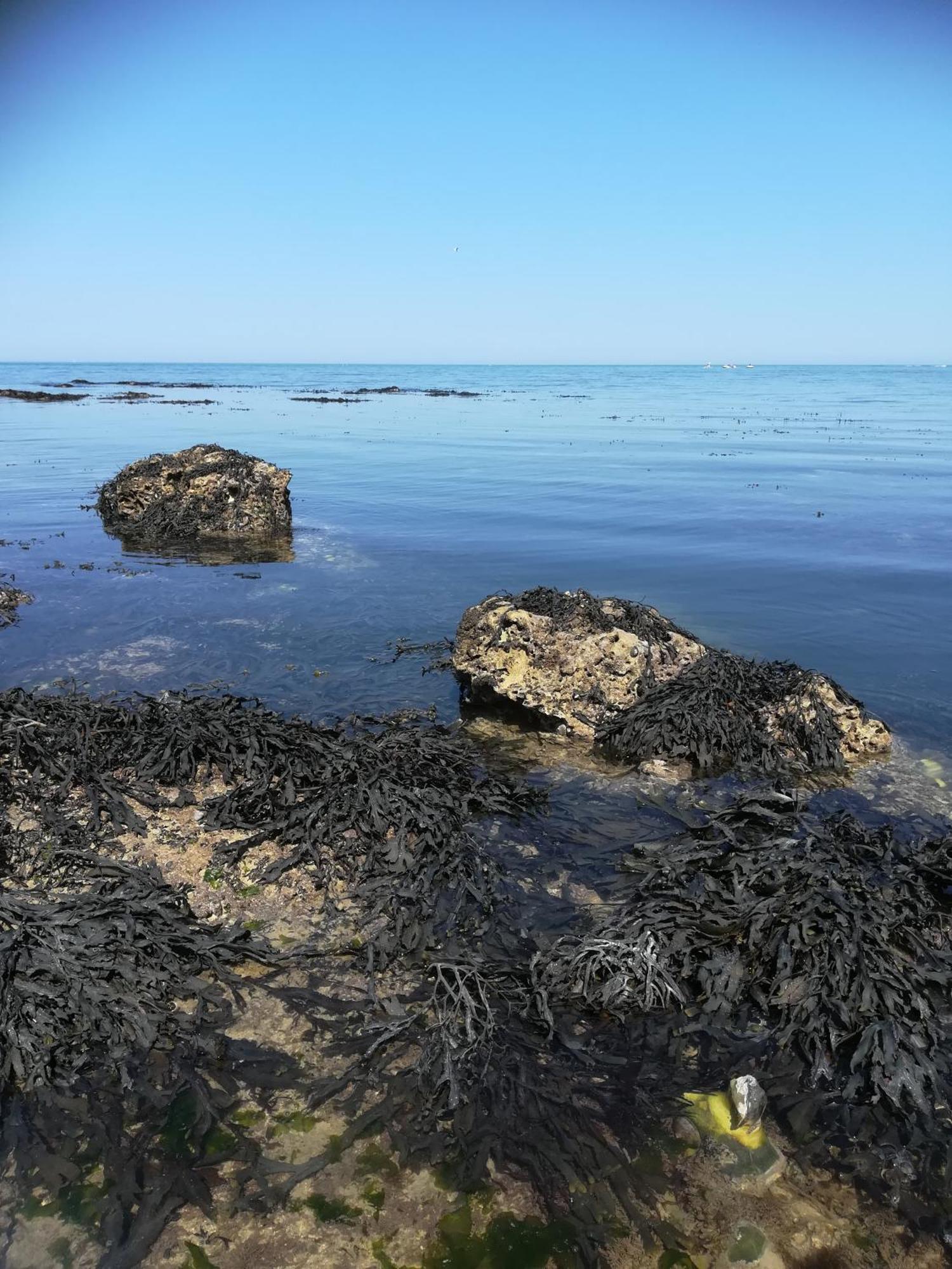 Le Costa Rica En Bord De Mer Villa Fecamp Luaran gambar